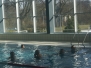 20170219ffh-mitgliederschwimmen
