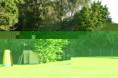 P1130811