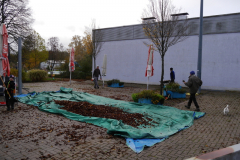 P1240274.JPG